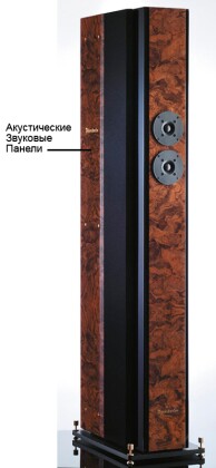 Brodmann-VC7_foto.jpg